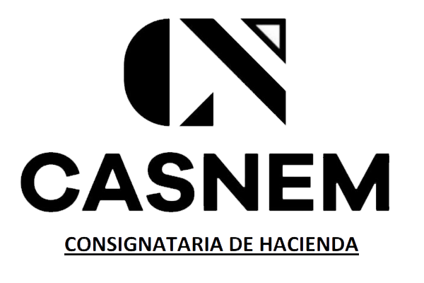 Logo Casnem